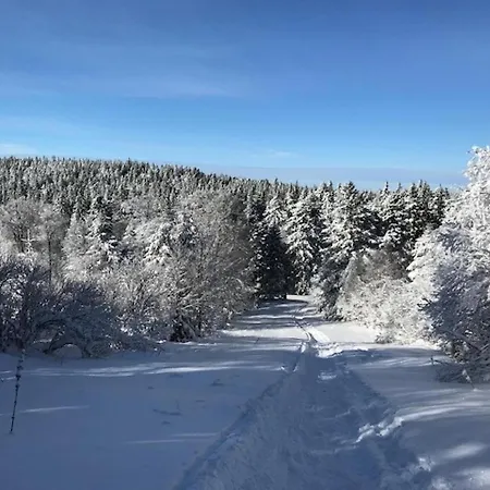 Au Mont-dore, 300m Du Centre, 6 Pieces, Garage, Terrain Pentu, Ideal 8 Pers, Animaux Non Acceptes. - Fr-1-608-4 Σπίτι διακοπών *