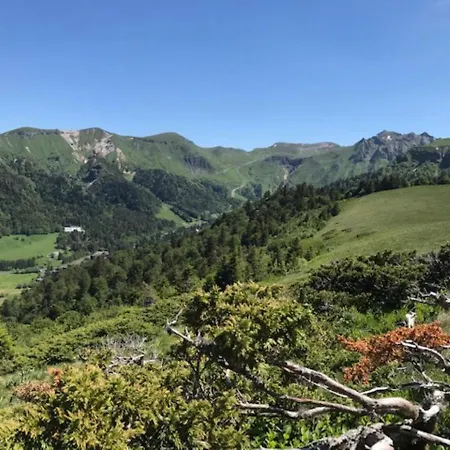Au Mont-dore, 300m Du Centre, 6 Pieces, Garage, Terrain Pentu, Ideal 8 Pers, Animaux Non Acceptes. - Fr-1-608-4 * Le Mont-Dore